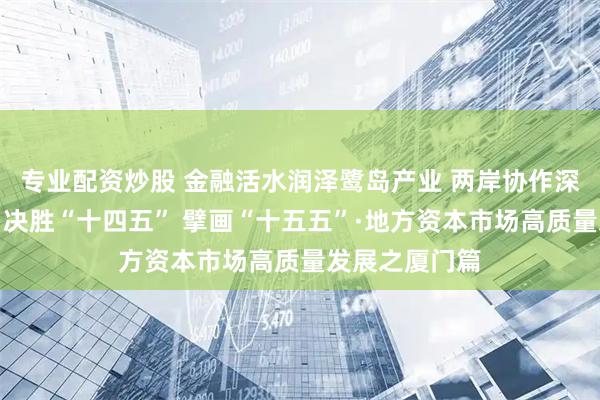 专业配资炒股 金融活水润泽鹭岛产业 两岸协作深化资本融合丨决胜“十四五” 擘画“十五五”·地方资本市场高质量发展之厦门篇