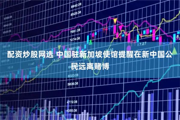 配资炒股网选 中国驻新加坡使馆提醒在新中国公民远离赌博