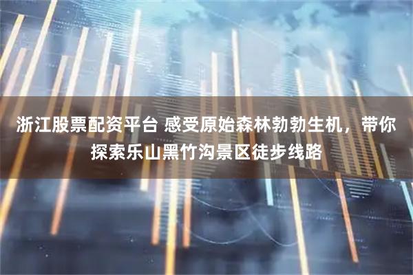 浙江股票配资平台 感受原始森林勃勃生机，带你探索乐山黑竹沟景区徒步线路